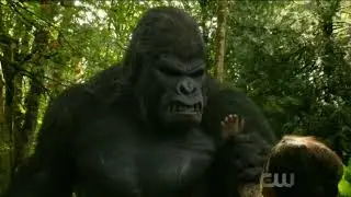 DC's Legends of Tomorrow 3x07 Vixen and Grodd talk