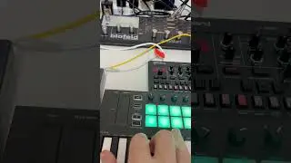 Microfreak, Model D, Waldorf and Roland S1 improvisation. #synthwave