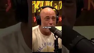 Joe Rogan on Khamzat's INSANE Training Camp#mma #ufc #boxing