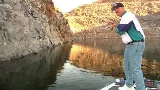 DVL w/Bill Siemantel Part 11: Spro Phat Fly Floatin Rig - Tackle Warehouse VLOG #133