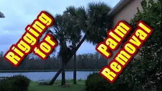 Rigging Equipment Needed to Remove a Damaged Palm