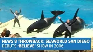 SeaWorld San Diego debuts 'Believe' show in 2006