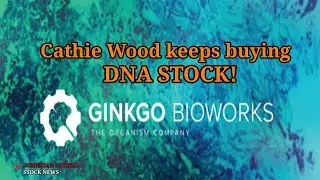 Cathie Wood Keeps Buying Ginkgo Bioworks (DNA) Stock!