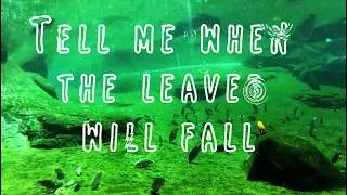 Frank Ruiz-Shell Without A Soul [Official Lyric Video]