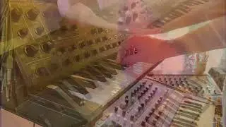 Butterflies | Korg MS-20 and Polysix | Moog Matriarch | Solo Fantasia | Live Studio Performance