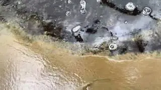 Your answer to zero water exchange&hellip;will share more information in future on this