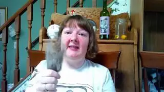 The Magic of Wool - Includes experiment on whether bleach dissolves wool!!
