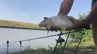 Ciortănica este la putere👍🐟