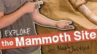 Awesome Science 