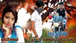 Vijy raj damor timli song aadiwasi.dansh      manish