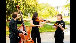 Bluegrass Trio - Blackberry Blossom