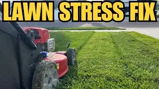 How I Fix My Lawn with Liquid Lawn Fertilizer &ndash; Best Lawn Care Tips