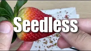 Spent 1 Hour to Remove Strawberry Seeds 🍓🍓🍓