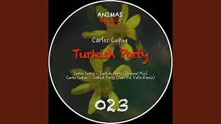 Turkish Party (Javi Del Valle Remix)