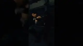 Sifu Rain Fight 1