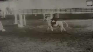 Il meglio deve ancora VENIRE.