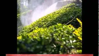 Tejas Seva Trust Video on Tea Awareness