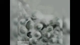 Grey abstract drawing, how to draw - time lapse #digitalart #digitalpaint #художник #artist #art