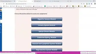 ICP Anatomy Course Overview