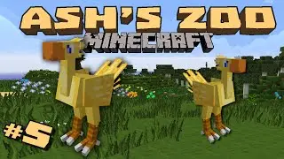 Minecraft: Зоопарк Эша &mdash; #5 &mdash; Чоци