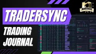 How to use TraderSync - Trading Journal  - Option Trading Journal
