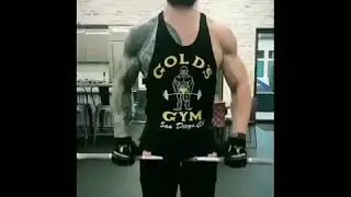 Roman reigns gym workout