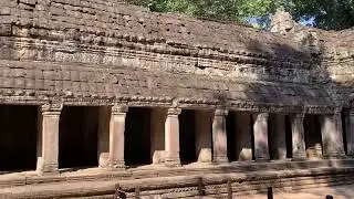 The Amazing Restoration Work at Ta Prohm Temple