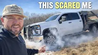 Everything Went Sideways While Feeding the Bison!