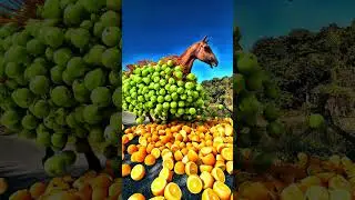Horse loaded fruits special effects c4d 😯 #viralshorts #shorts #vfx  #shortsfeed #shortsyoutube