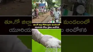 తూ.గో జిల్లా గోపాలపురం మండలంలో యూరియా కోసం రైతుల ఆందోళన #ureashortage #ureafertilizer #farmersissue