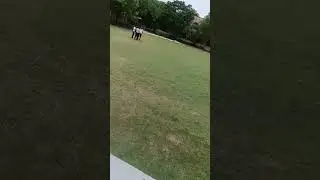 government pg college