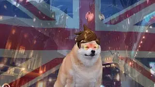 hey this guys tracer's nuts