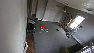 My cat entered the door after it opened by itself.