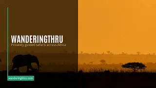 WanderingThru Photo Safaris & Expeditions