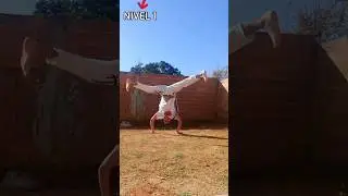 Varia&ccedil;oes do A&uacute; na #capoeira