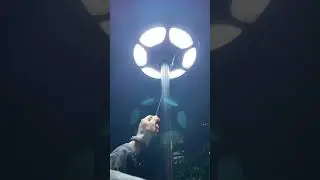 Solar garden lights, solar street lights, charging during the day, lighting at night #solarpanel