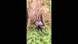 Ferdinand performs a song about forest protection in Nkolenyeng Cameroon 2012