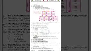 Class 10 Bio Ch 6 Notes #10th #10thclass #ch6 #notes #biologynotes #pakcity #biologyclass10