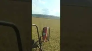 Laverda 28.60 g&ouml;nen g&uuml;ndoğan &ccedil;eltik bi&ccedil;imi