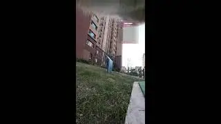 A Cat&rsquo;s Daily Life Live &mdash; Wandering, Watching, Relaxing