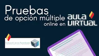 Aula Virtual - Programar pruebas en l&iacute;nea