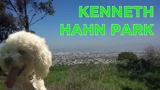 Kenneth Hahn Hiking Tips With The Dogs