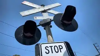 Woolton Ave Level Crossing, Thornbury (12/1/2026)
