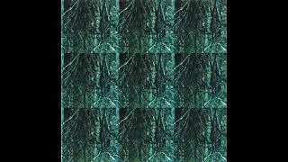 Gas - Nah und Fern (vinyl version)