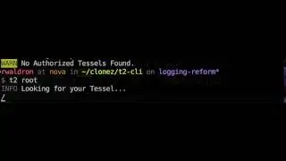 t2-cli: spinner implementation demo 2