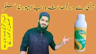 Sulphur 80% liquid form Import by Turkey | Best product | Malik Hassan Agriculture