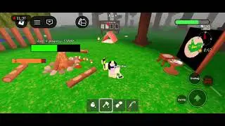 99night in the forest