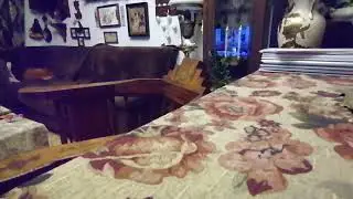 Анжелика Снежинская. Диана Вонг. Поиски логики. 