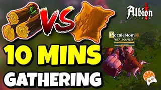 Albion Online [Wood vs Hides] 10 minutes Gathering