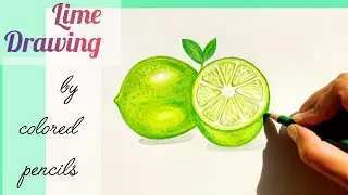 How to Draw a realistic Lime 🍋| How to Draw Green Lemon| Easy Step-by-Step Drawing Tutorial